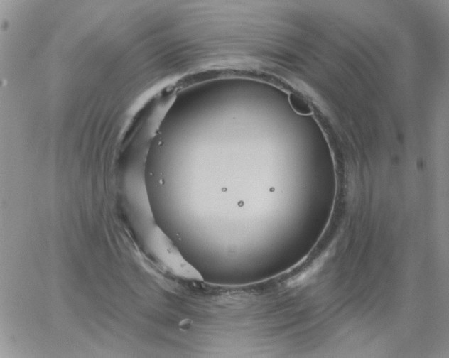 X0000065970830200603172048