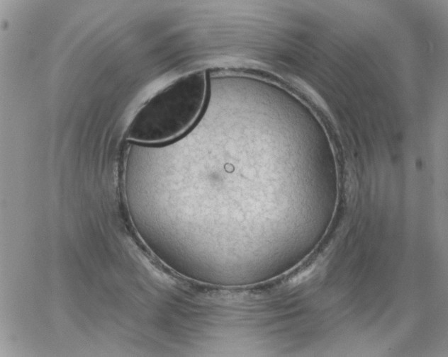 X0000065970831200603172048