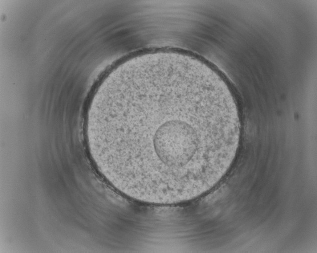 X0000065970832200603172048