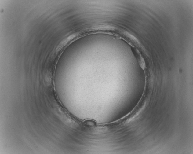 X0000065970833200603172048