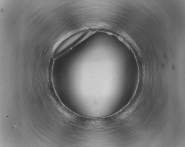 X0000065970834200603172048