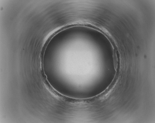 X0000065970838200603172048