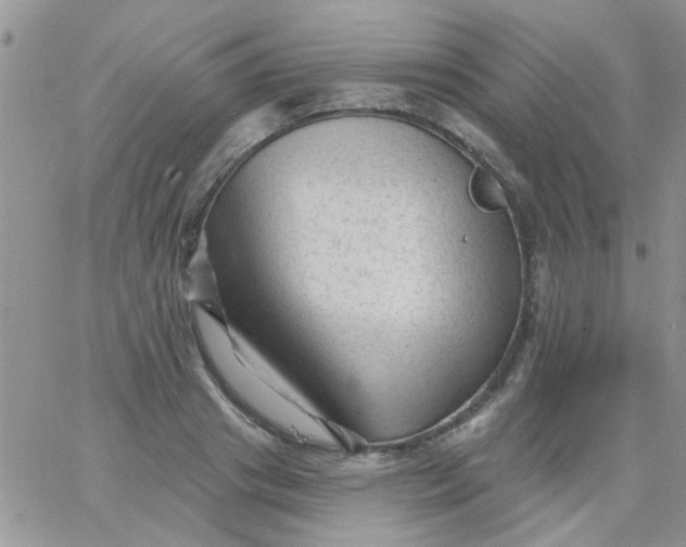 X0000065970841200603172048