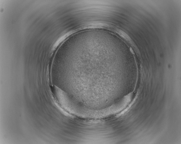 X0000065970842200603172048