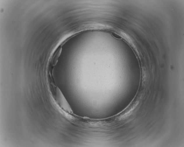 X0000065970843200603172048