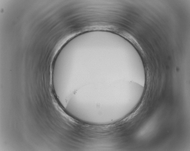 X0000065970844200603172048