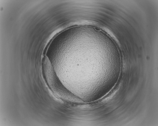 X0000065970845200603172048