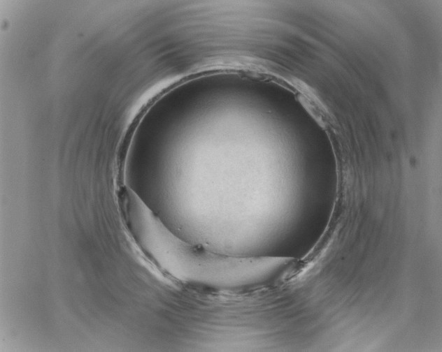 X0000065970846200603172048