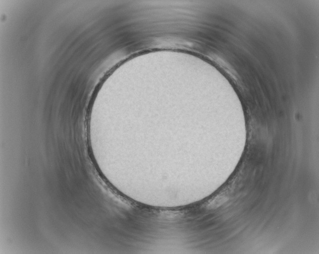 X0000065970848200603172048