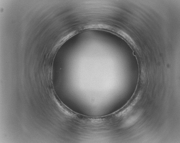 X0000065970849200603172048