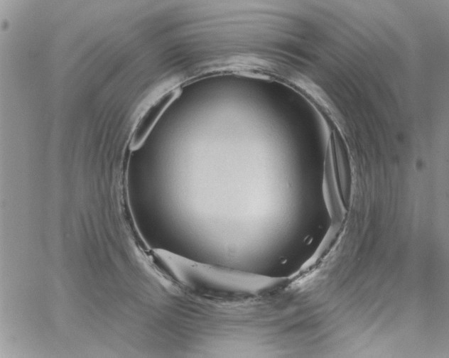 X0000065970850200603172048