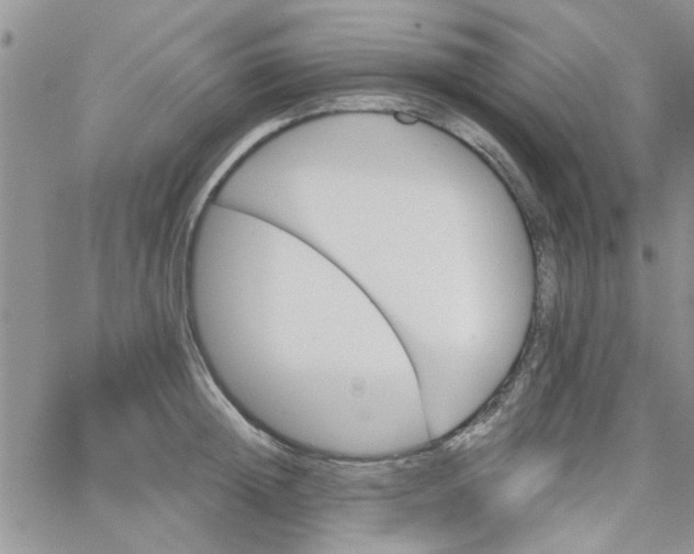 X0000065970852200603172048