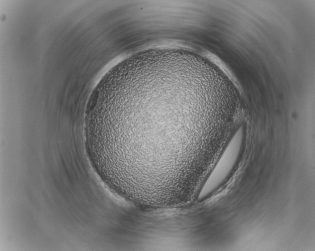 X0000065970853200603172048