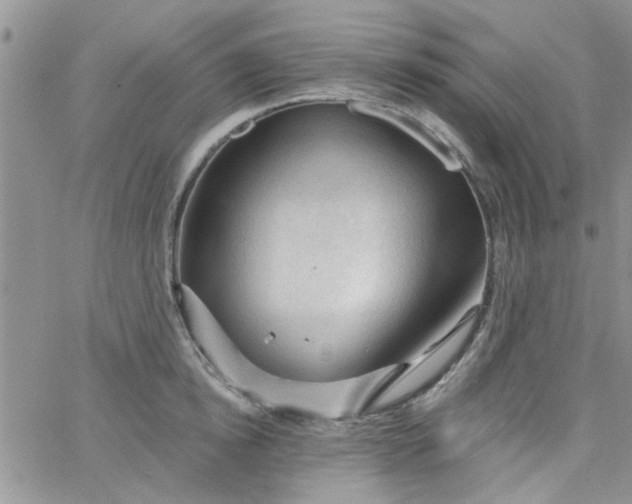 X0000065970854200603172048