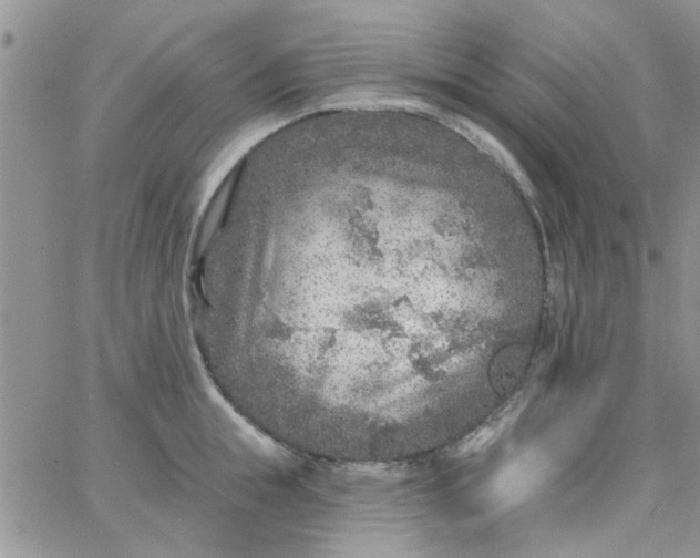 X0000065970855200603172048