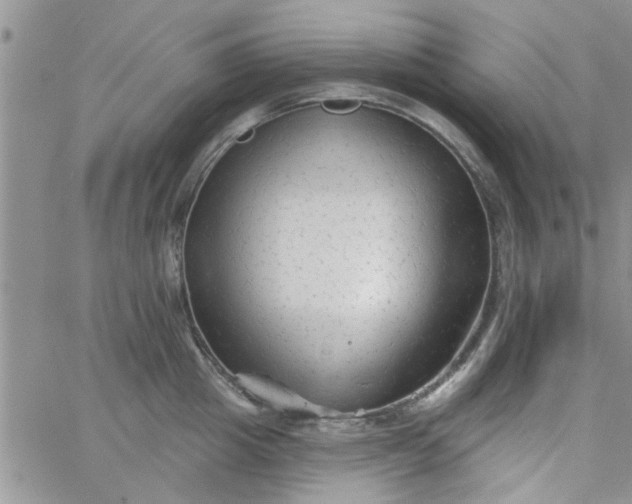 X0000065970857200603172048