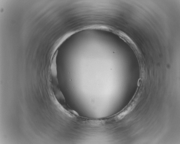 X0000065970860200603172048