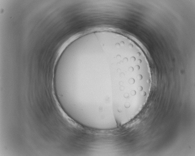 X0000065970861200603172048