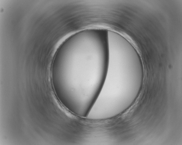 X0000065970862200603172048