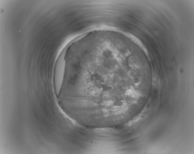 X0000065970863200603172048