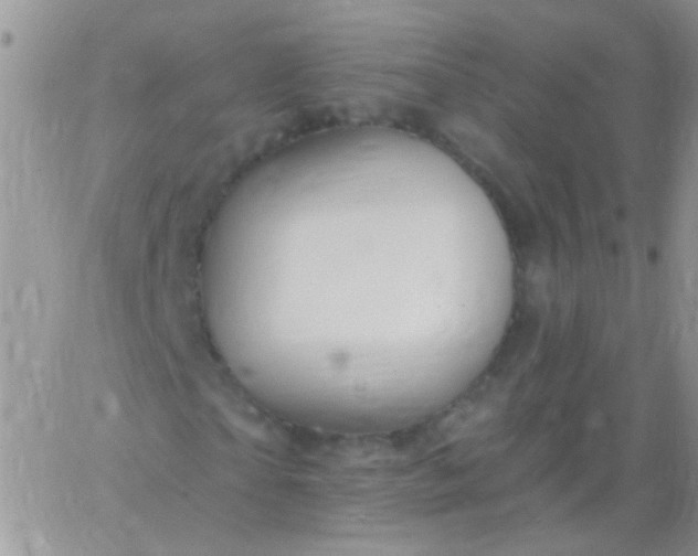 X0000065970865200603172048