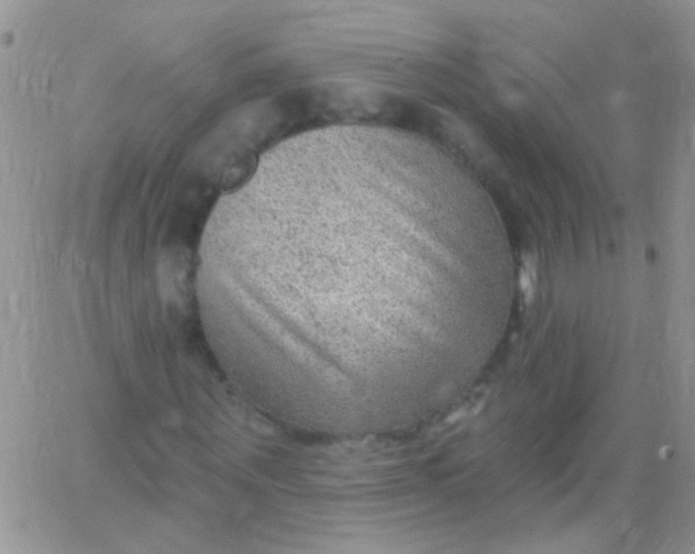 X0000065970867200603172047