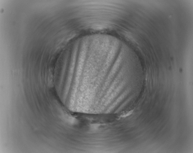 X0000065970868200603172047