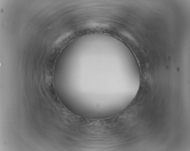 X0000065970869200603172047