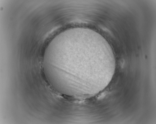 X0000065970870200603172047