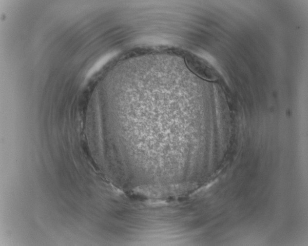 X0000065970871200603172047