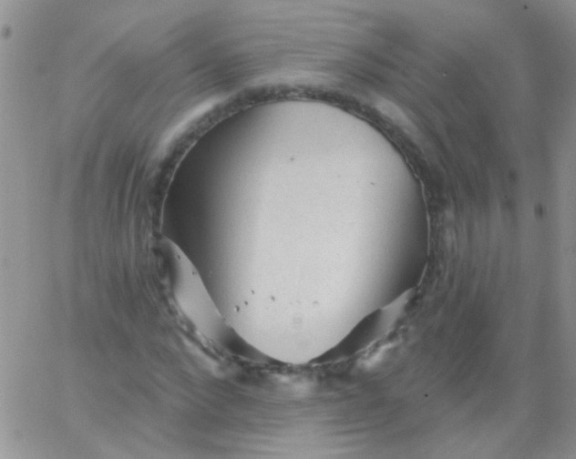 X0000065970872200603172047