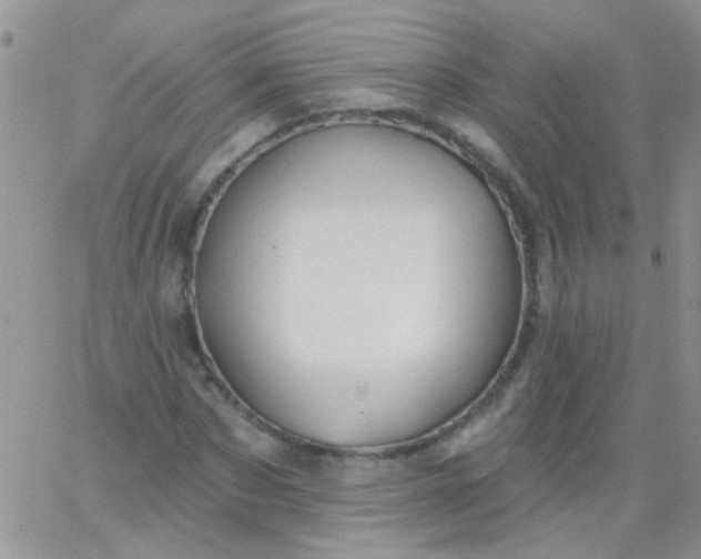 X0000065970873200603172047