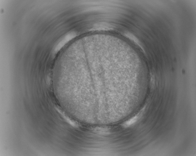 X0000065970874200603172047