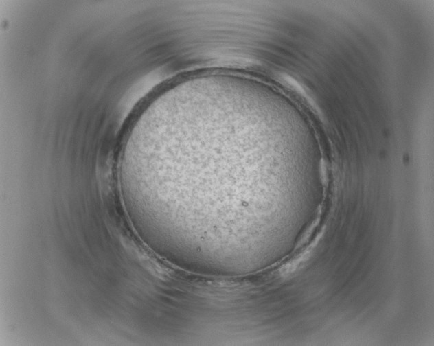 X0000065970875200603172047