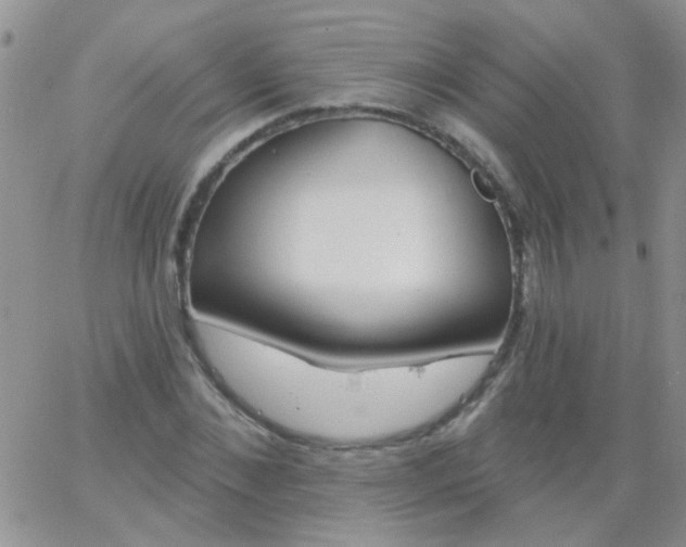 X0000065970876200603172047