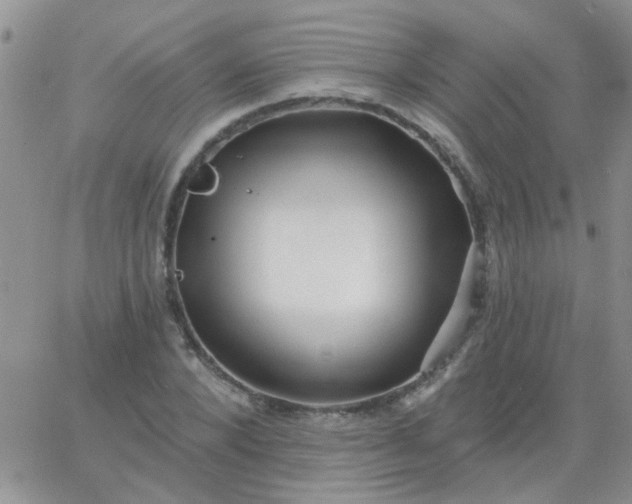 X0000065970880200603172047