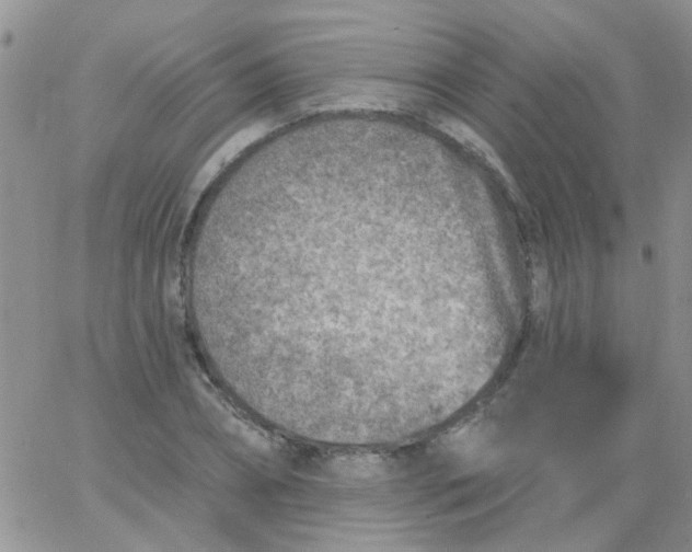 X0000065970882200603172047