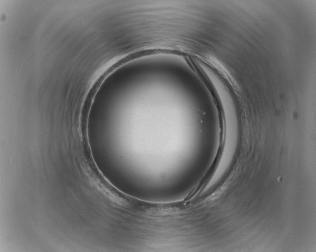 X0000065970884200603172047