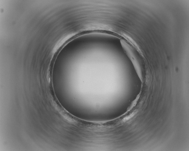 X0000065970885200603172047