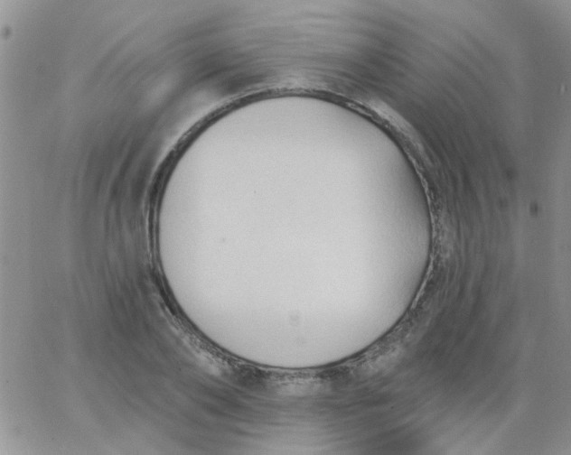 X0000065970886200603172047