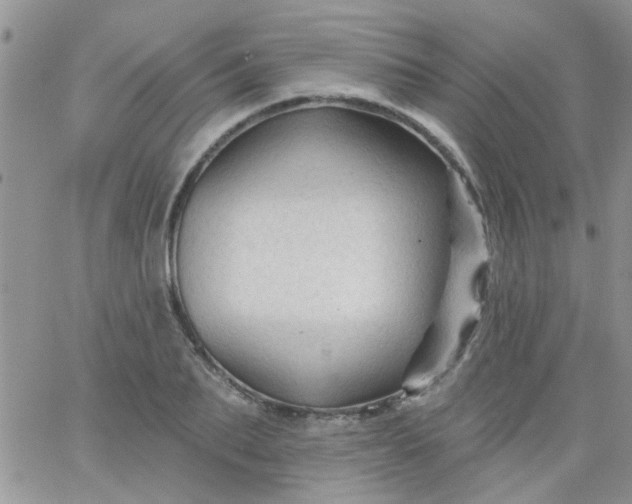 X0000065970887200603172047