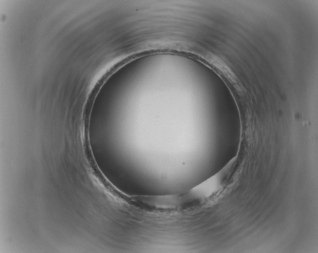 X0000065970888200603172047