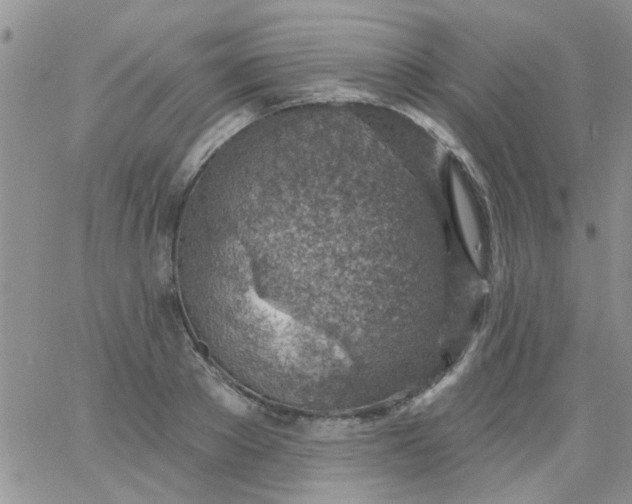 X0000065970889200603172047