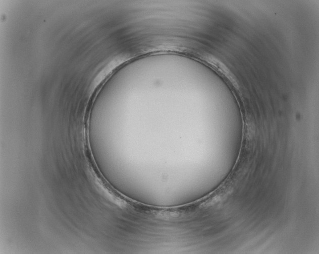 X0000065970890200603172047