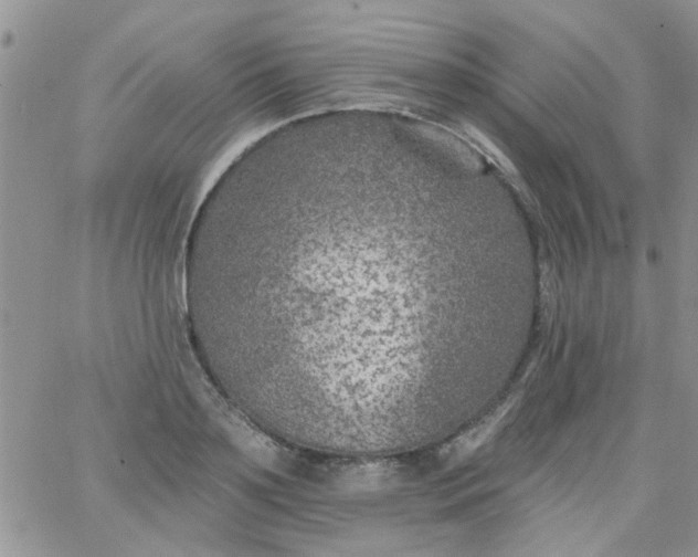 X0000065970891200603172047