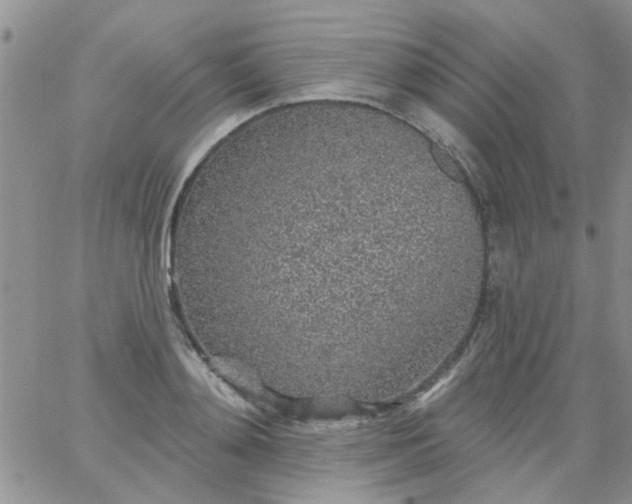 X0000065970892200603172047