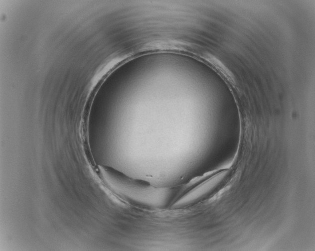 X0000065970893200603172047