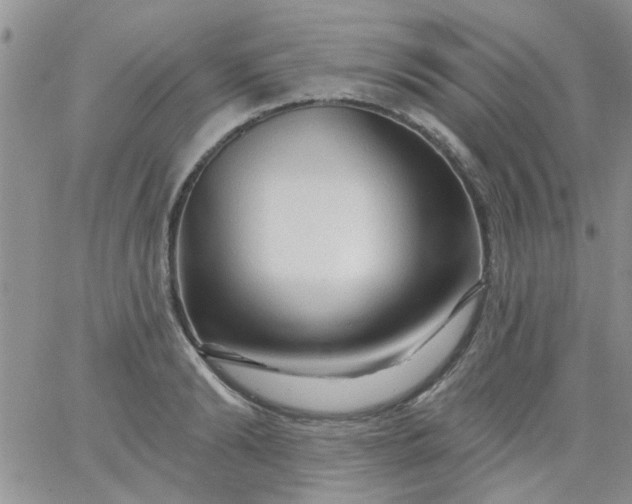 X0000065970894200603172047