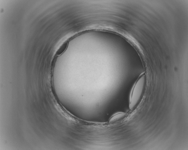 X0000065970896200603172047