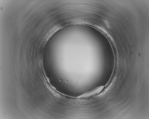 X0000065970897200603172047